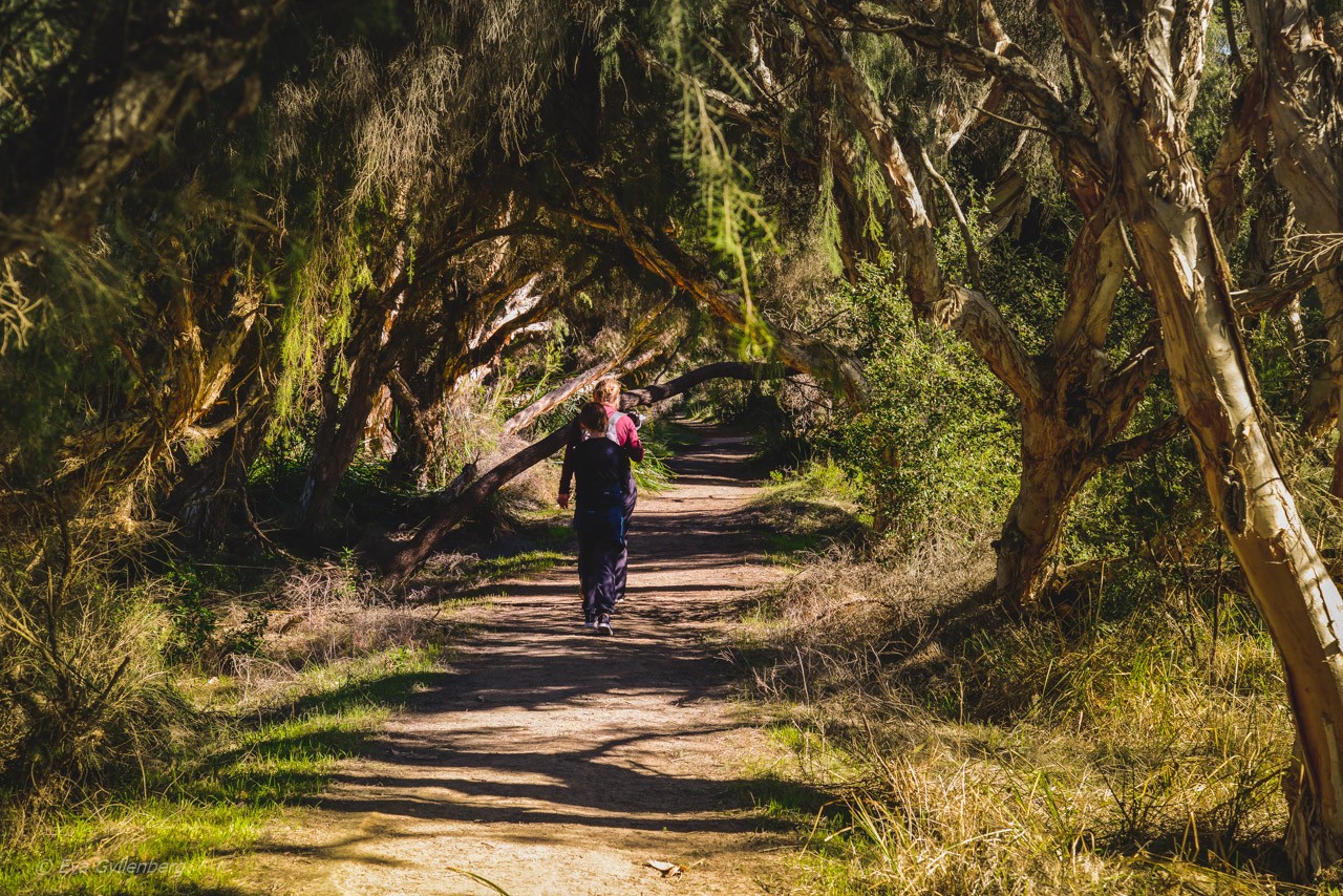 Yanchep National Park