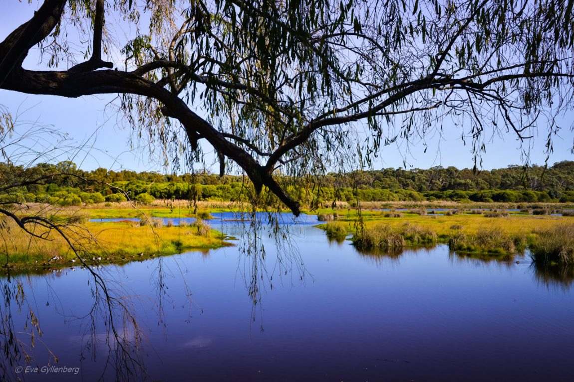 Yanchep National Park