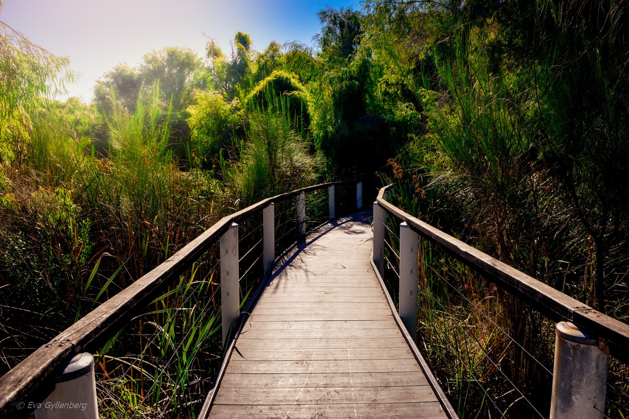 Yanchep National Park