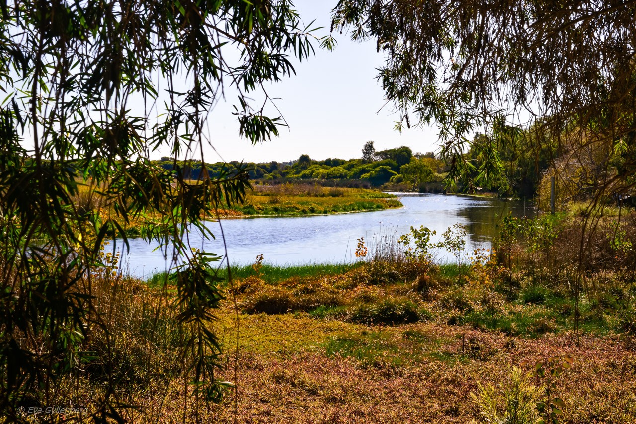 Yanchep National Park