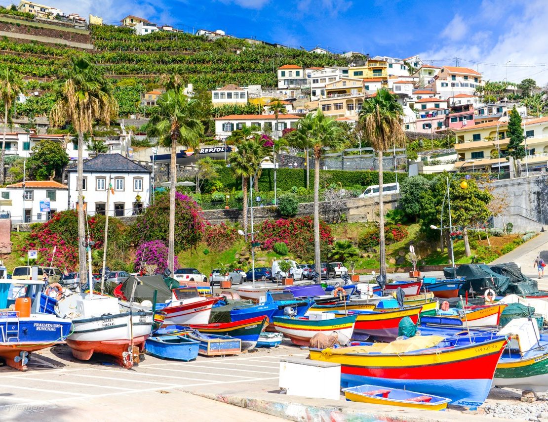 Fiskebåtar i Camara de Lobos