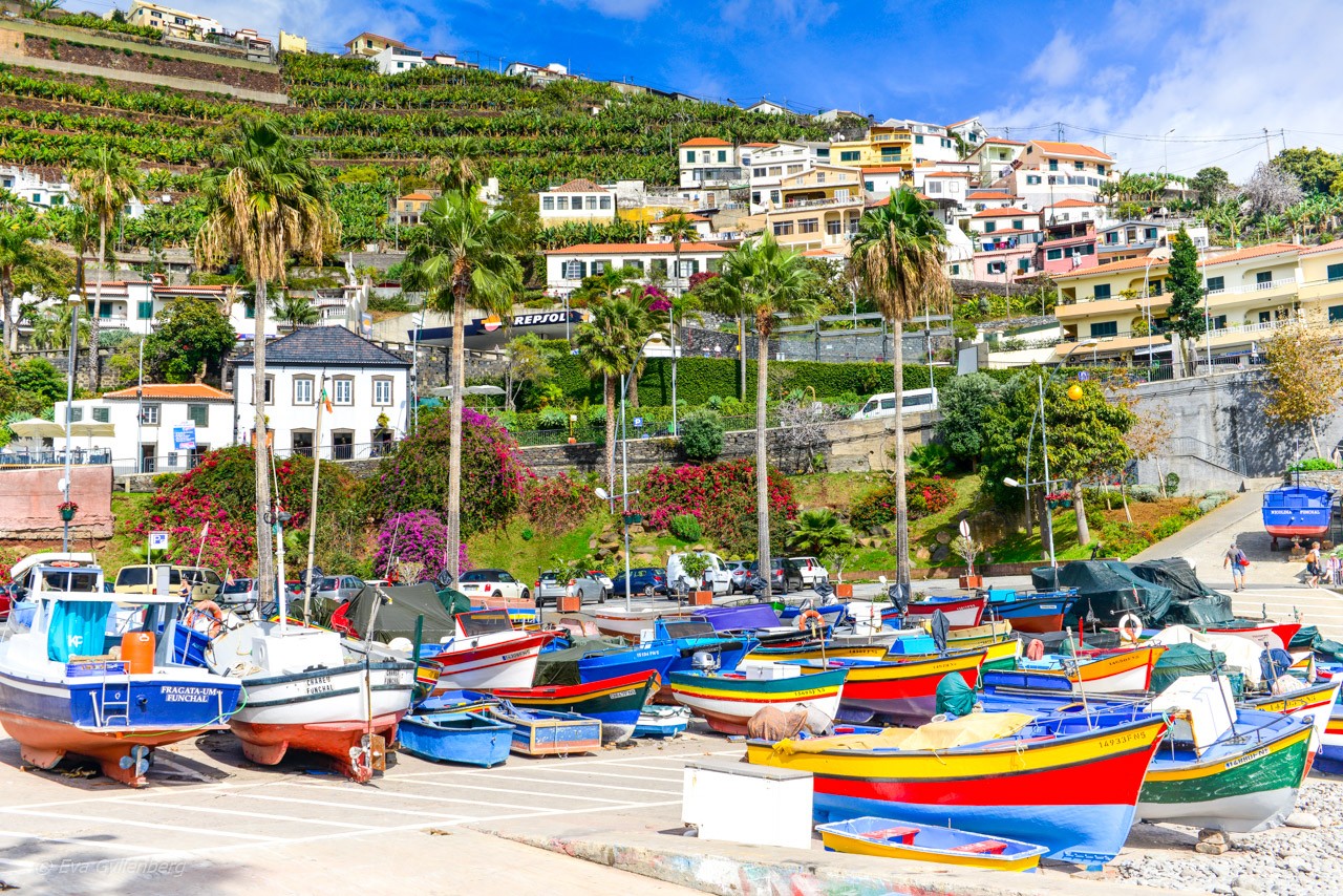 Fiskebåtar i Camara de Lobos