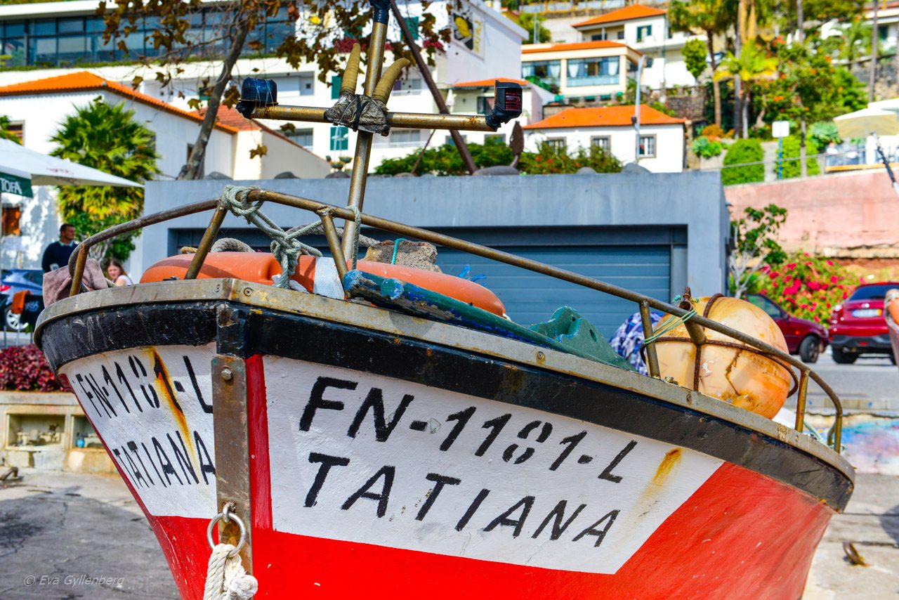 Fiskebåtar i Camara de Lobos
