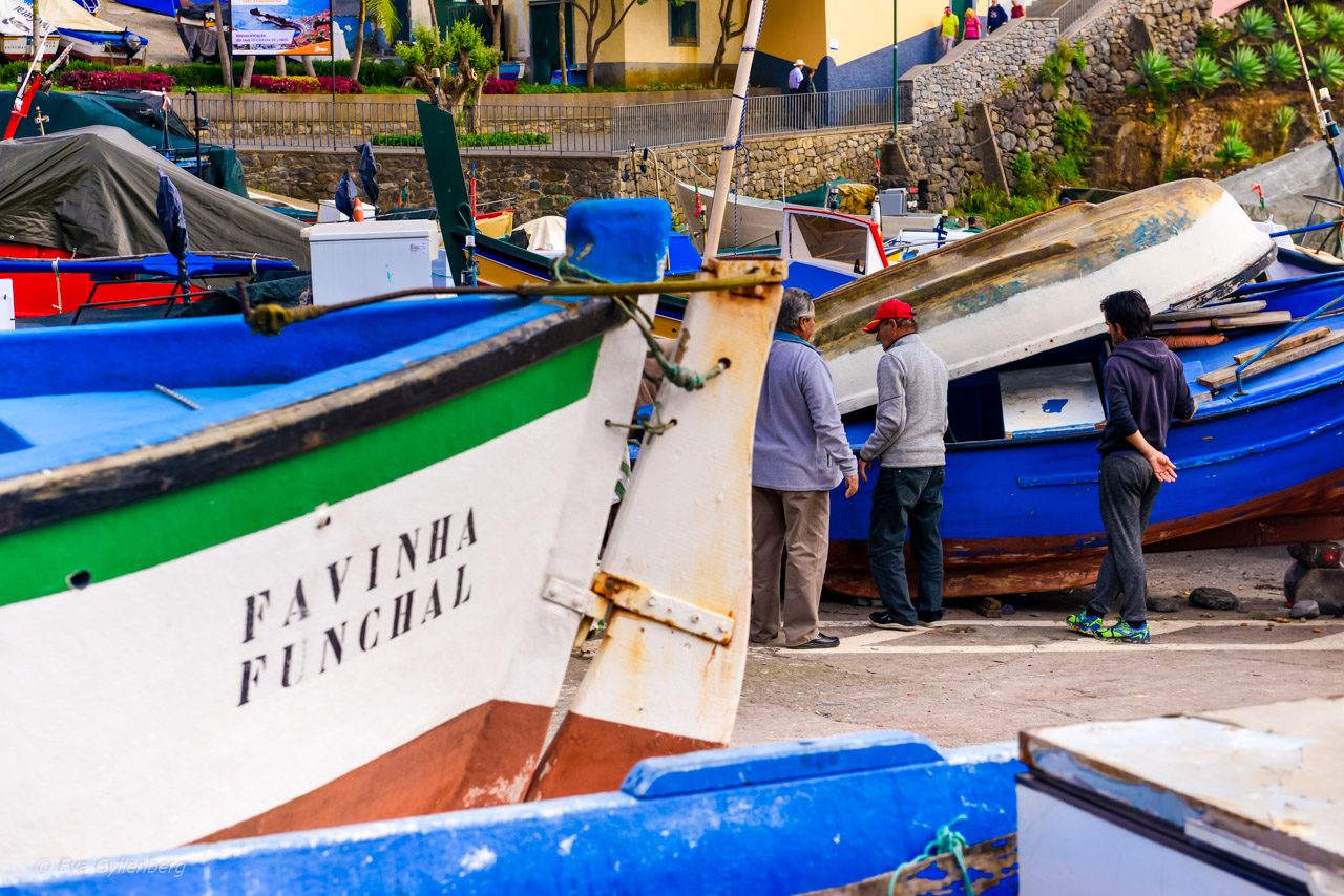 Fiskebåtar i Camara de Lobos