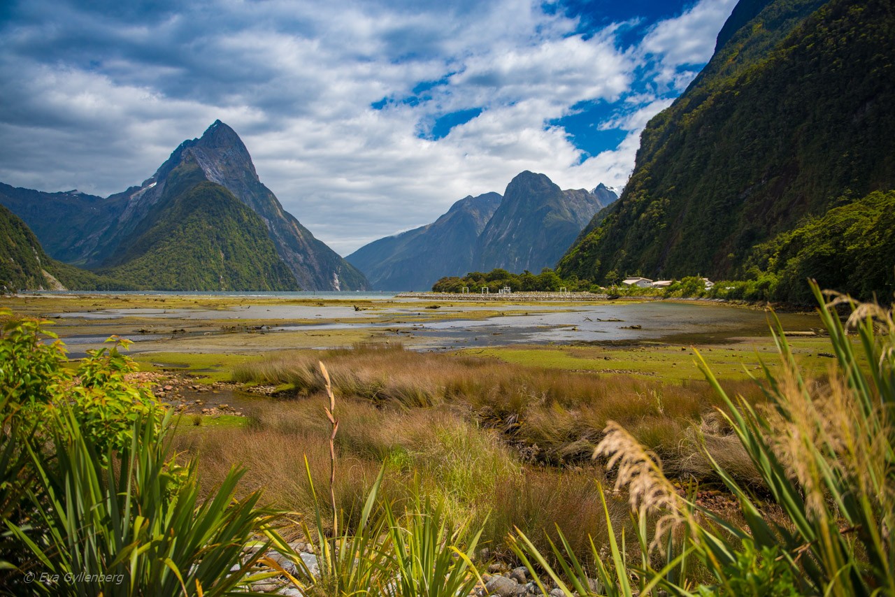 Magiska Milford Sound