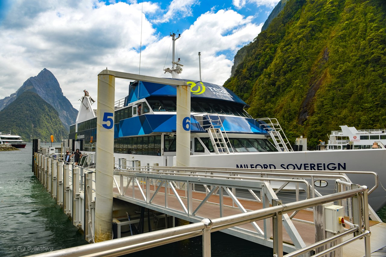 Cruise ship in Milford Sound