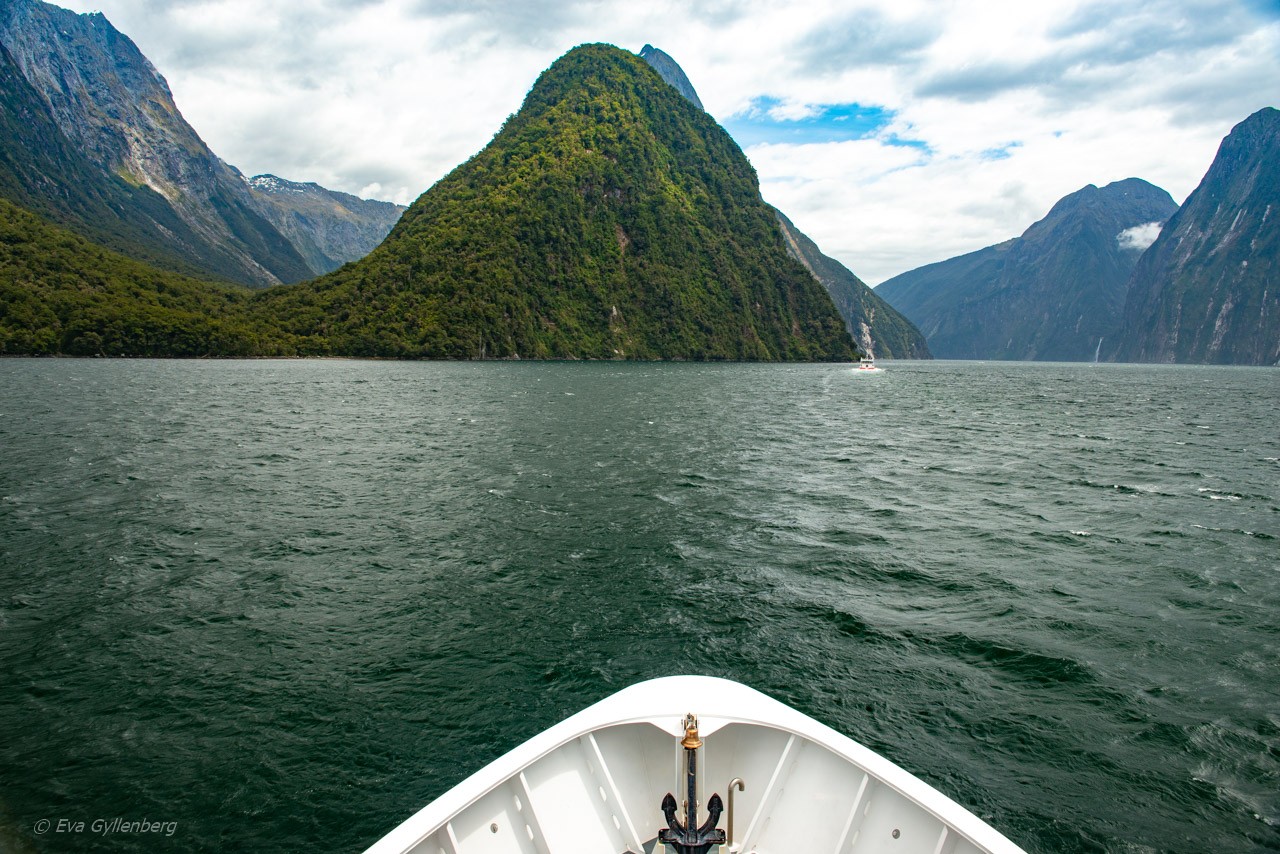 Båtför i Milford Sound