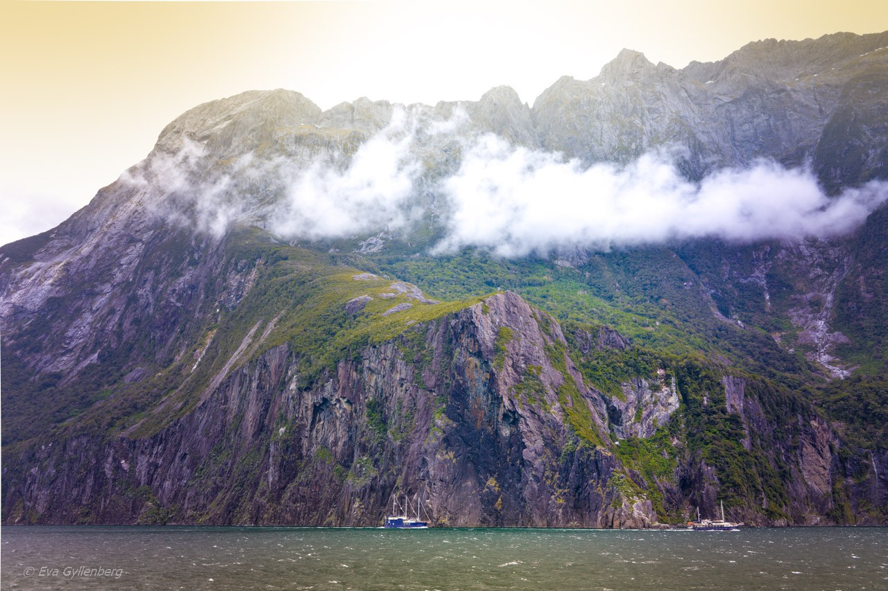 Low clouds in Milford Sound