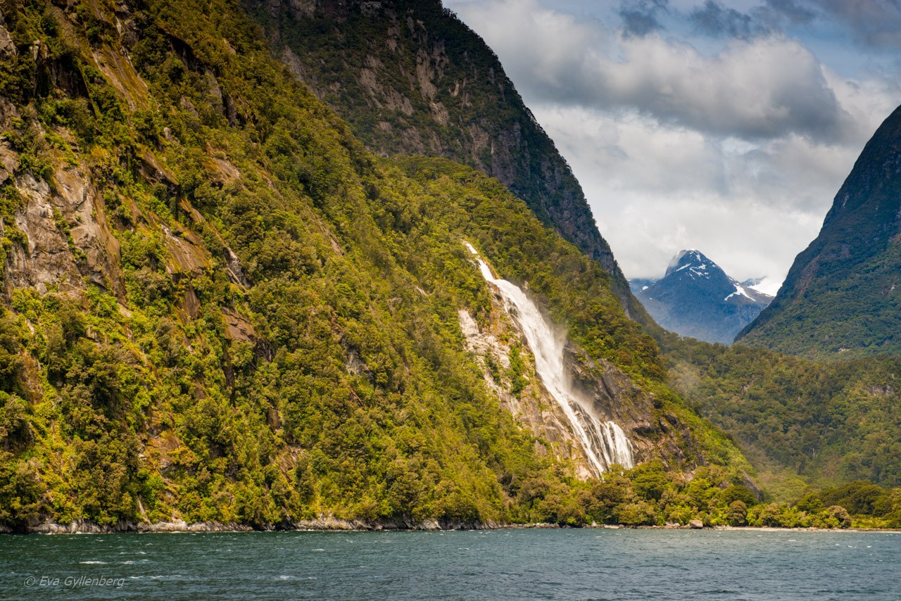 Vattenfall i Milford Sound