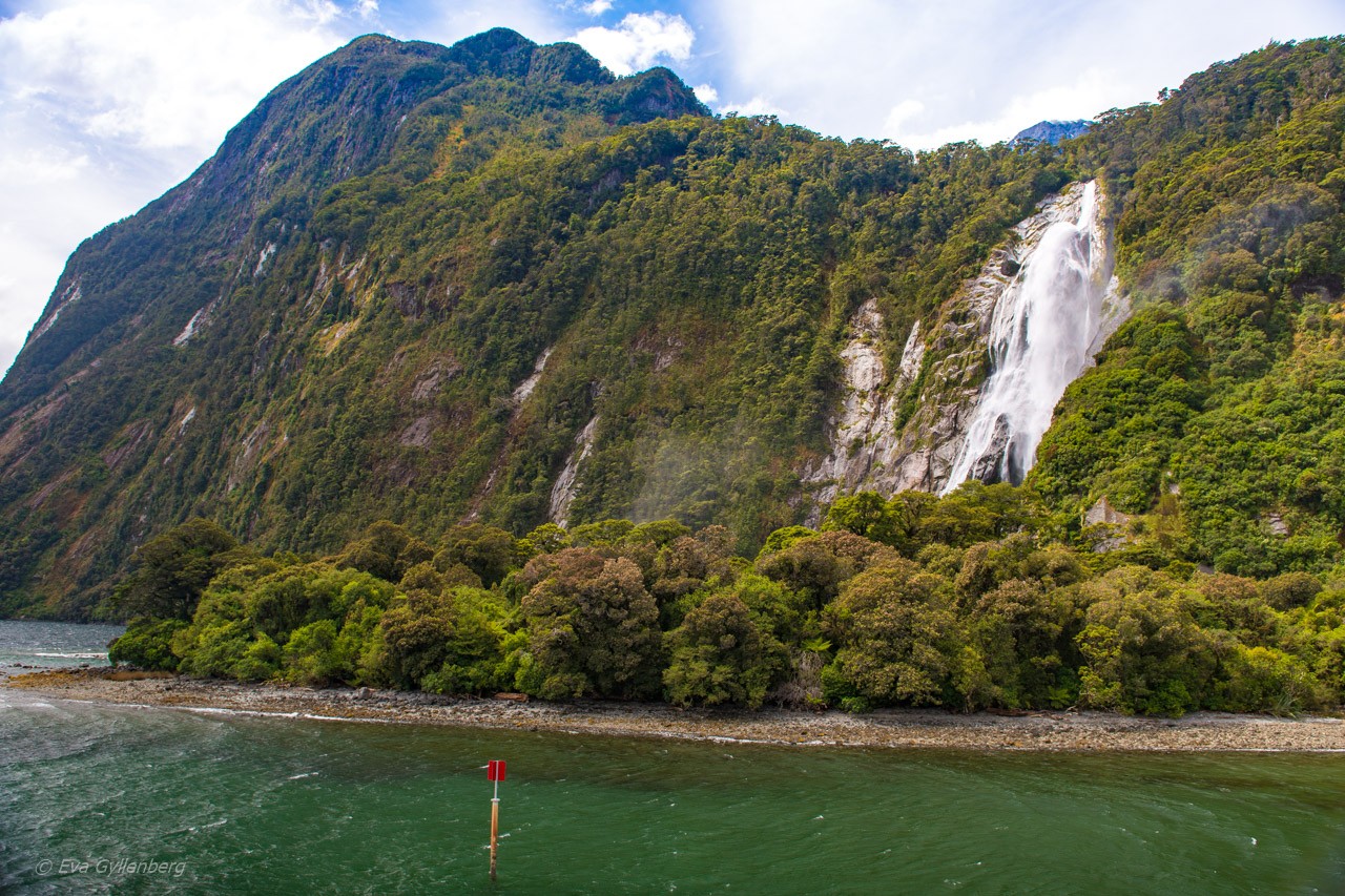 Vattenfall i Milford Sound