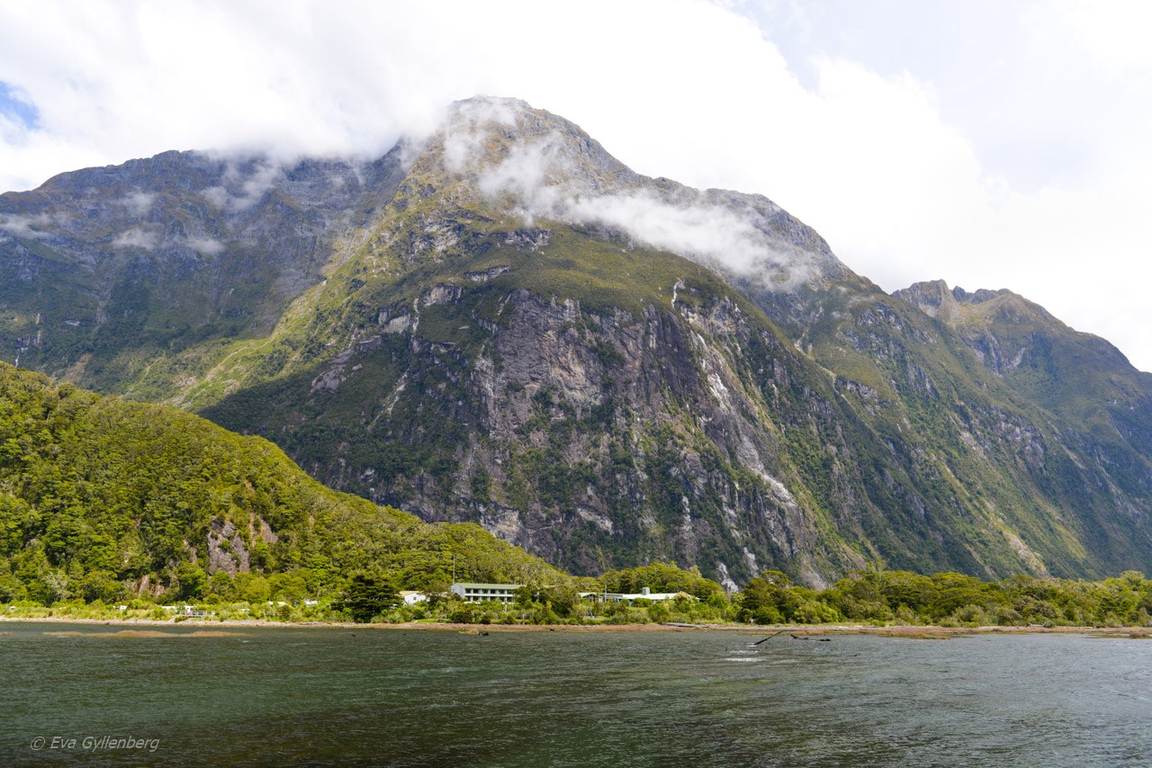 Hus i Milford Sound