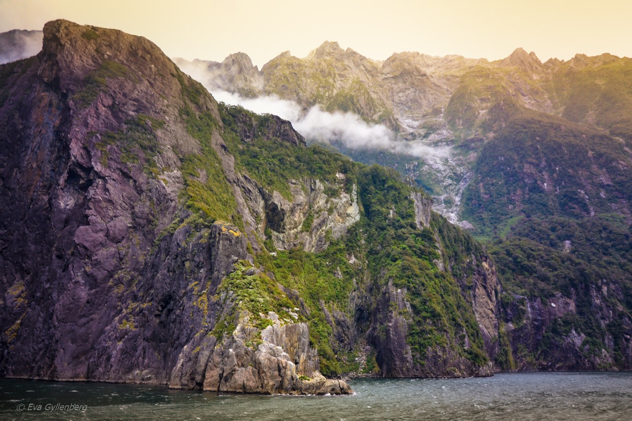 Low clouds in Milford Sound
