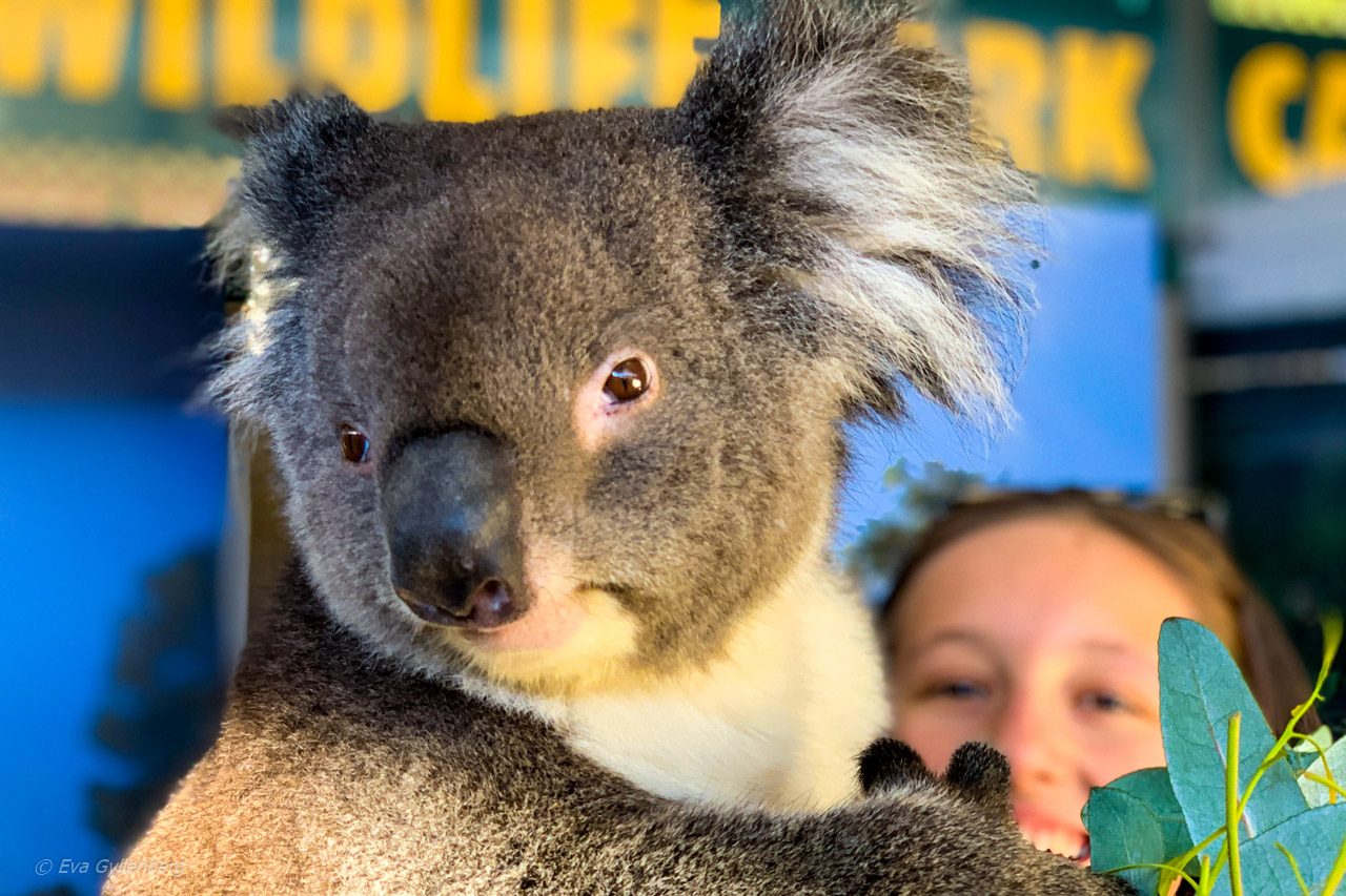 Perth - Australien