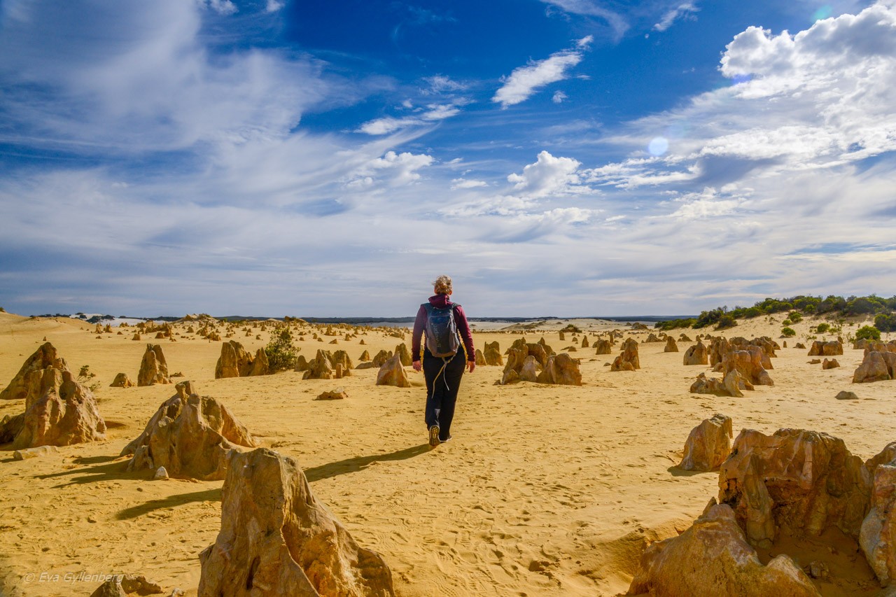 Pinnacles desert - Australien