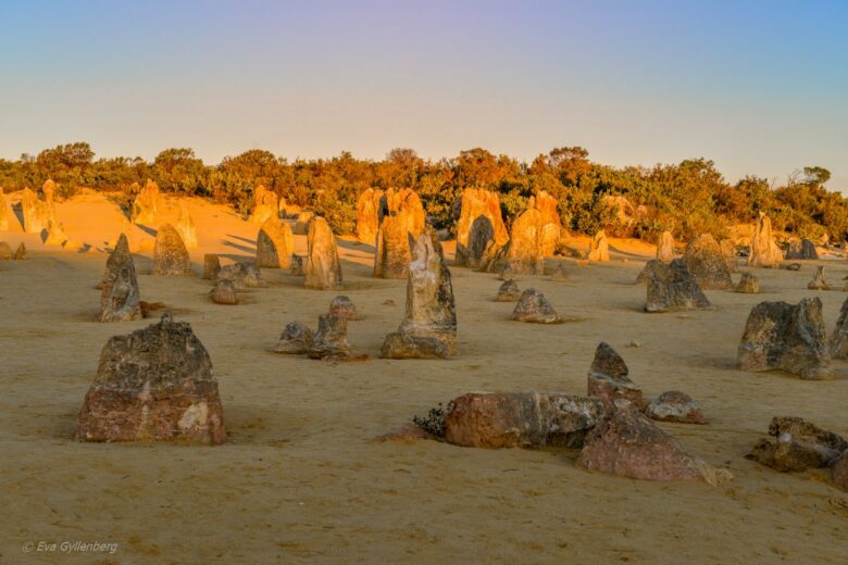 Pinnacles desert - Australien