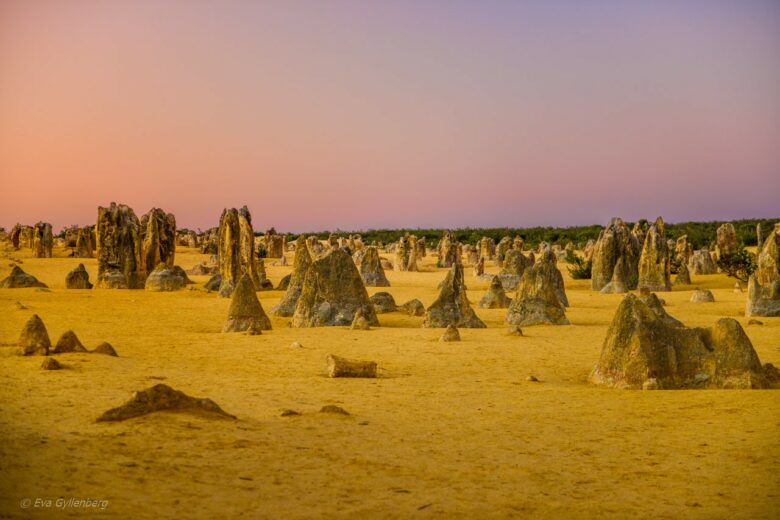 Pinnacles desert - Australia