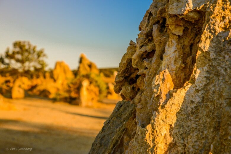 Pinnacles desert - Australia