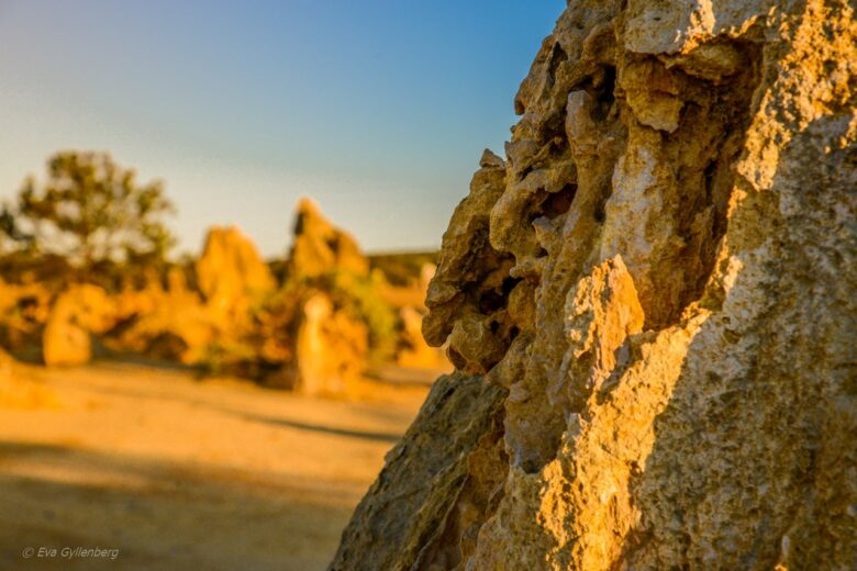 Pinnacles desert - Australien