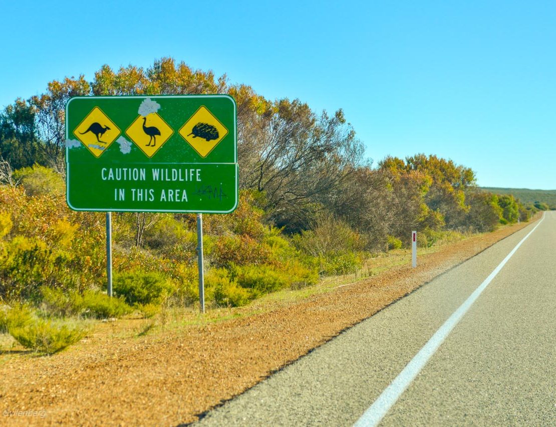 Driving - Australia