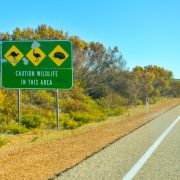 Bilkörning - Australien