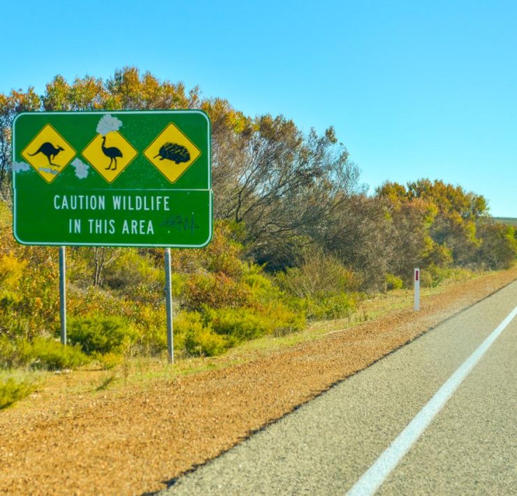 Bilkörning - Australien