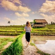 Jatiluwih - Risterrasser - Bali
