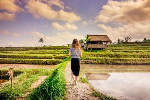 Jatiluwih - Rice Terraces - Bali