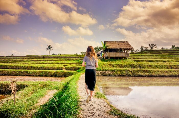 Jatiluwih - Rice Terraces - Bali
