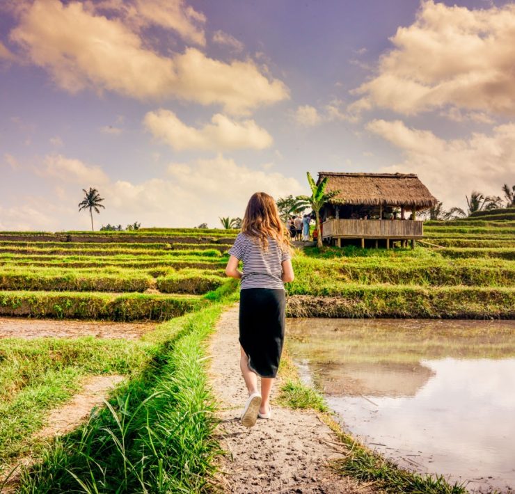 Jatiluwih - Risterrasser - Bali