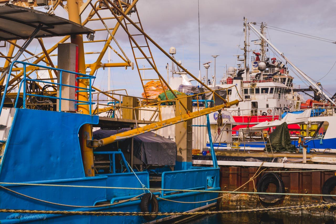 Hamnen i Fremantle - Australien
