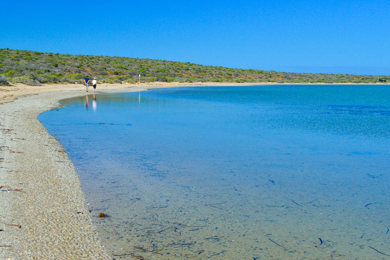 Little Lagoon i Shark Bay