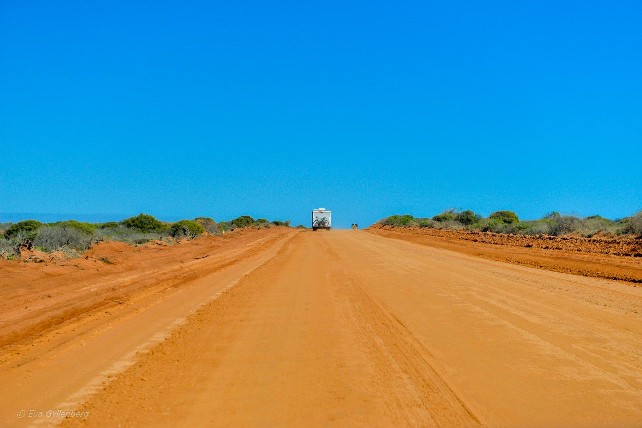 Vägar i nationalparken Shark Bay