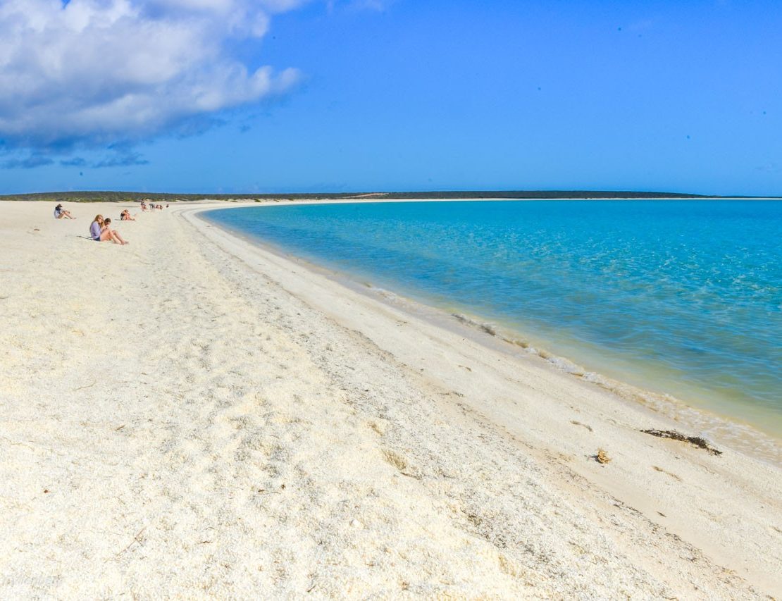 Shell beach white beach in Shark Bay