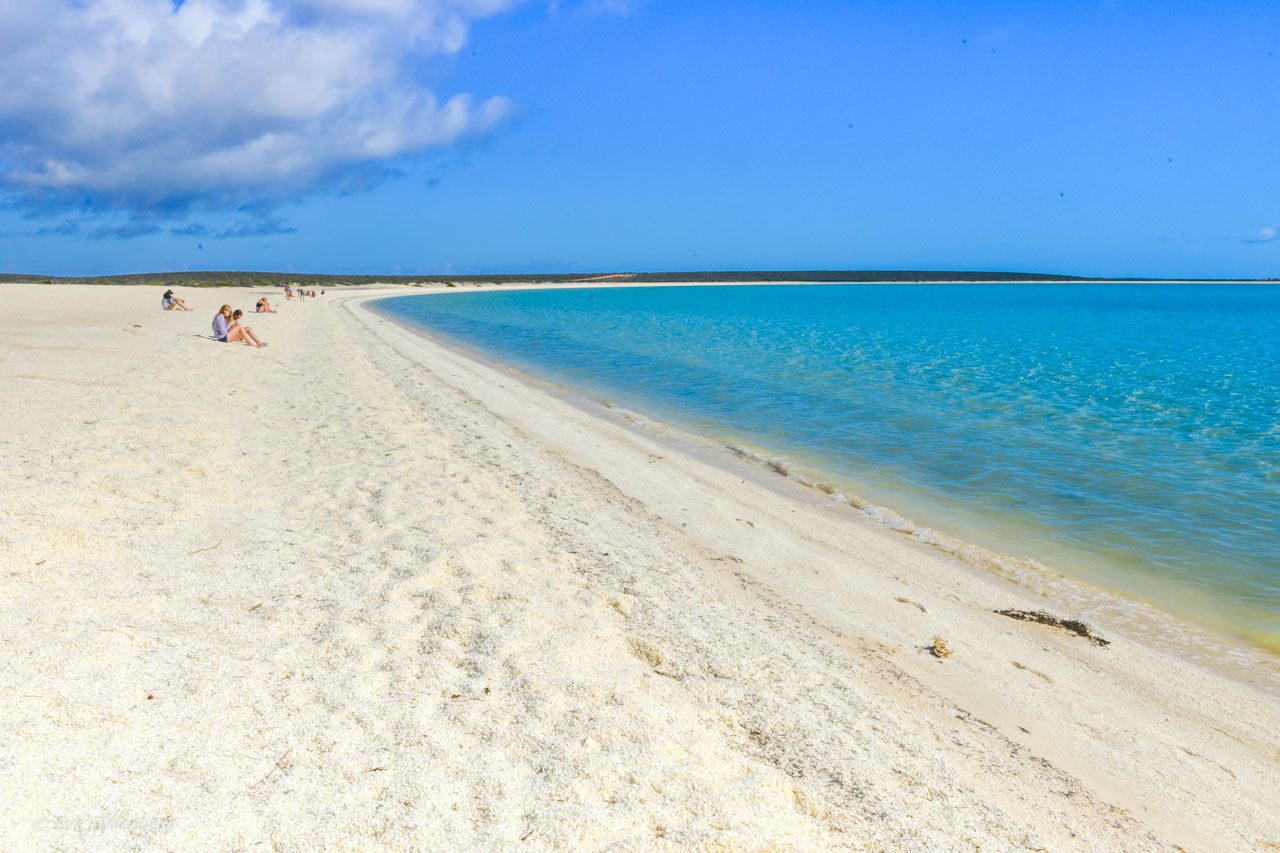 Shell beach white beach in Shark Bay