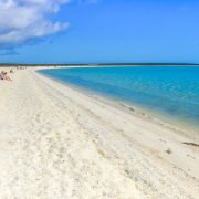 Shell beach vita strand i Shark Bay