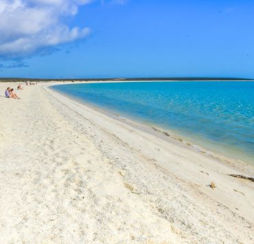 Shell beach vita strand i Shark Bay