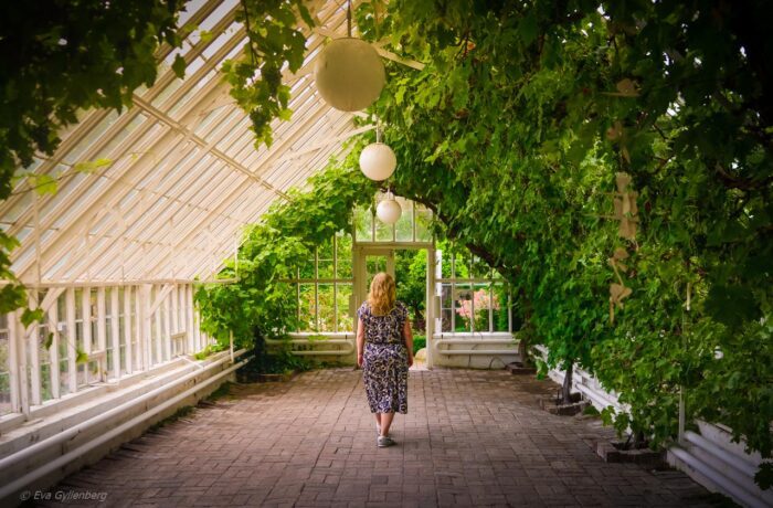 Sofiero - greenhouse
