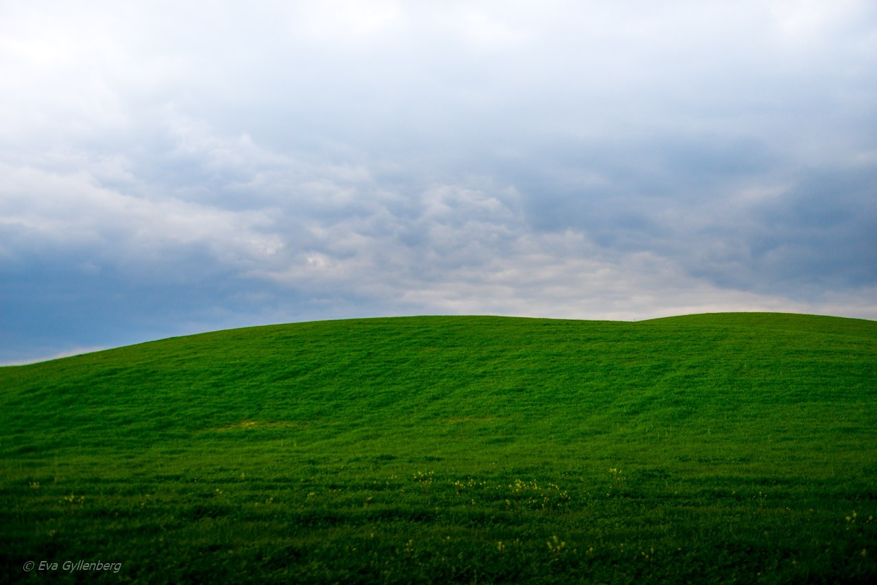Val d'Orcia - Skrivbordsbakgrund