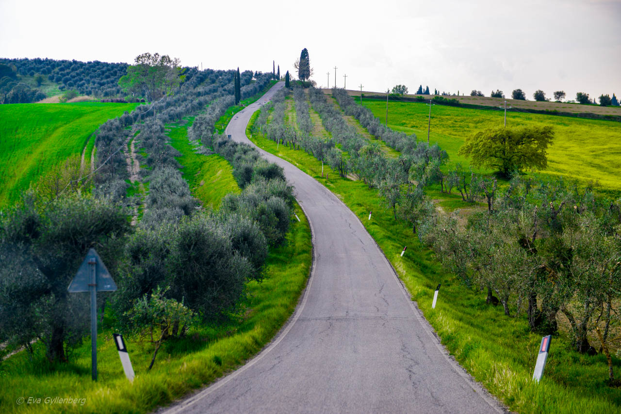 Val d'Orcia väg