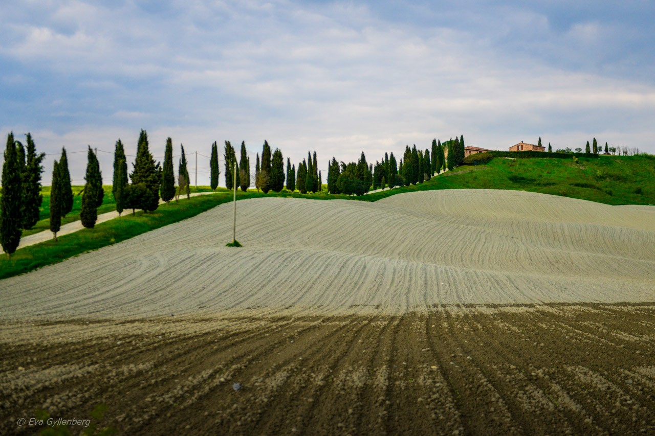 Val d'Orcia