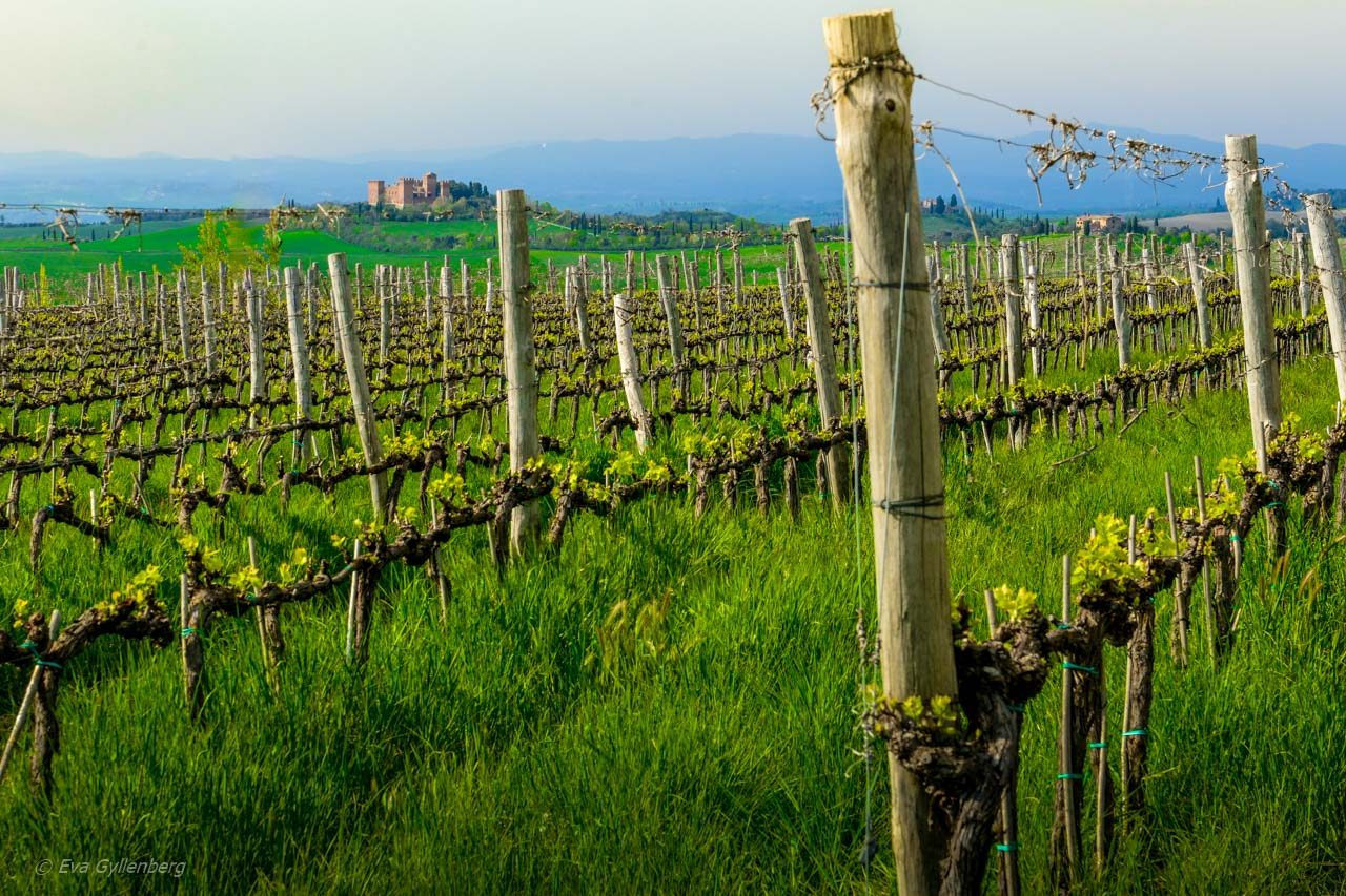 Val d'Orcia