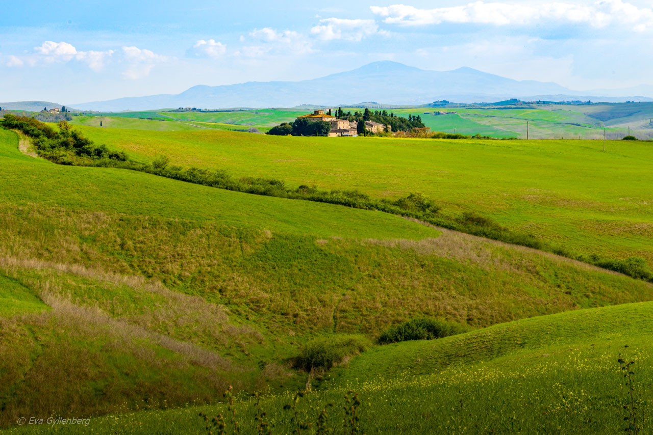 Val d'Orcia - Gröna kullar