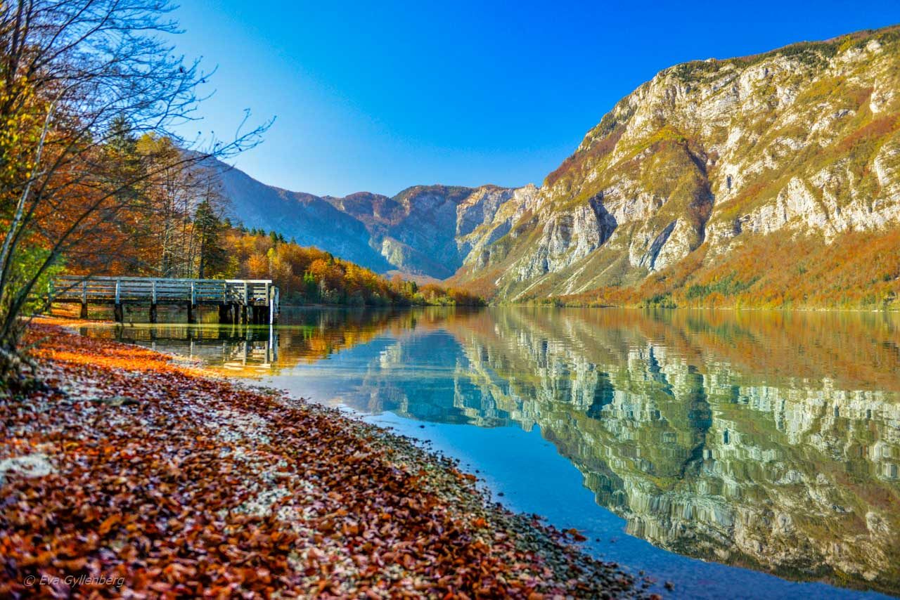 Vackra höstfärger vid en brygga vid Lake Bohinj - Slovenien