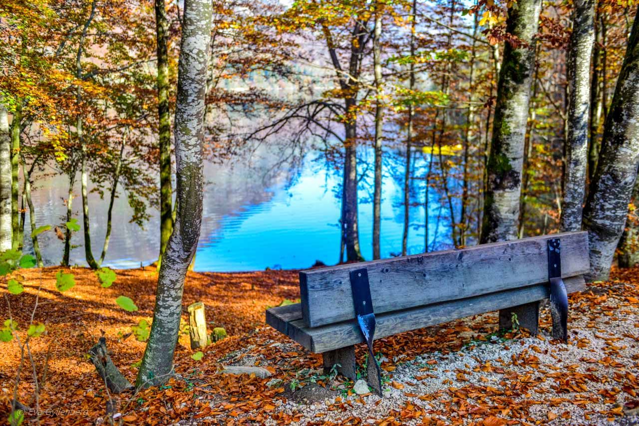 Bänk vid Lake Bohinj - Slovenien