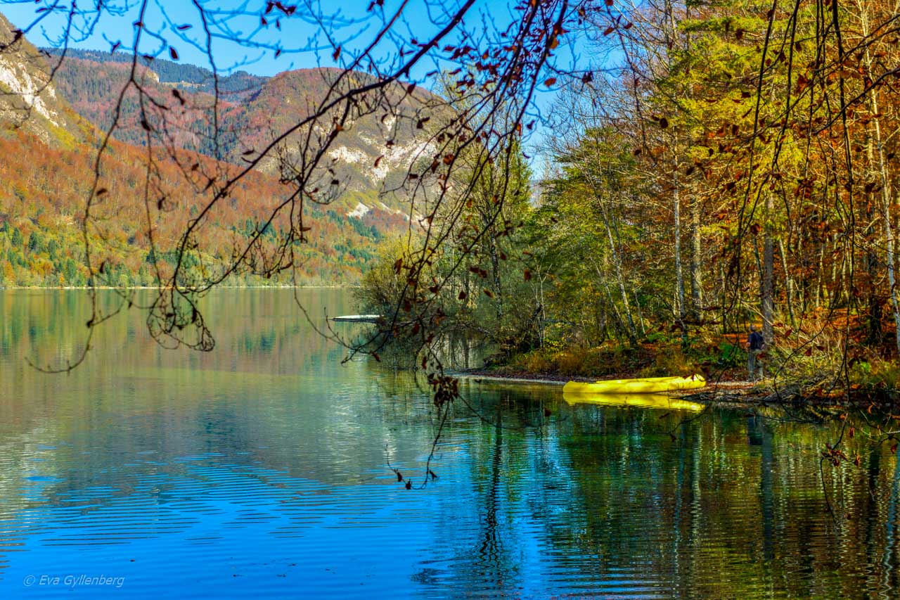 Gul kanot vid Lake Bohinj - Slovenien