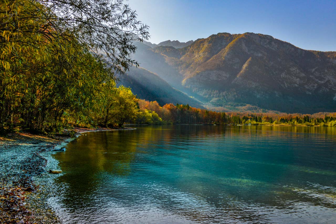 God rays vid Lake Bohinj - Slovenien