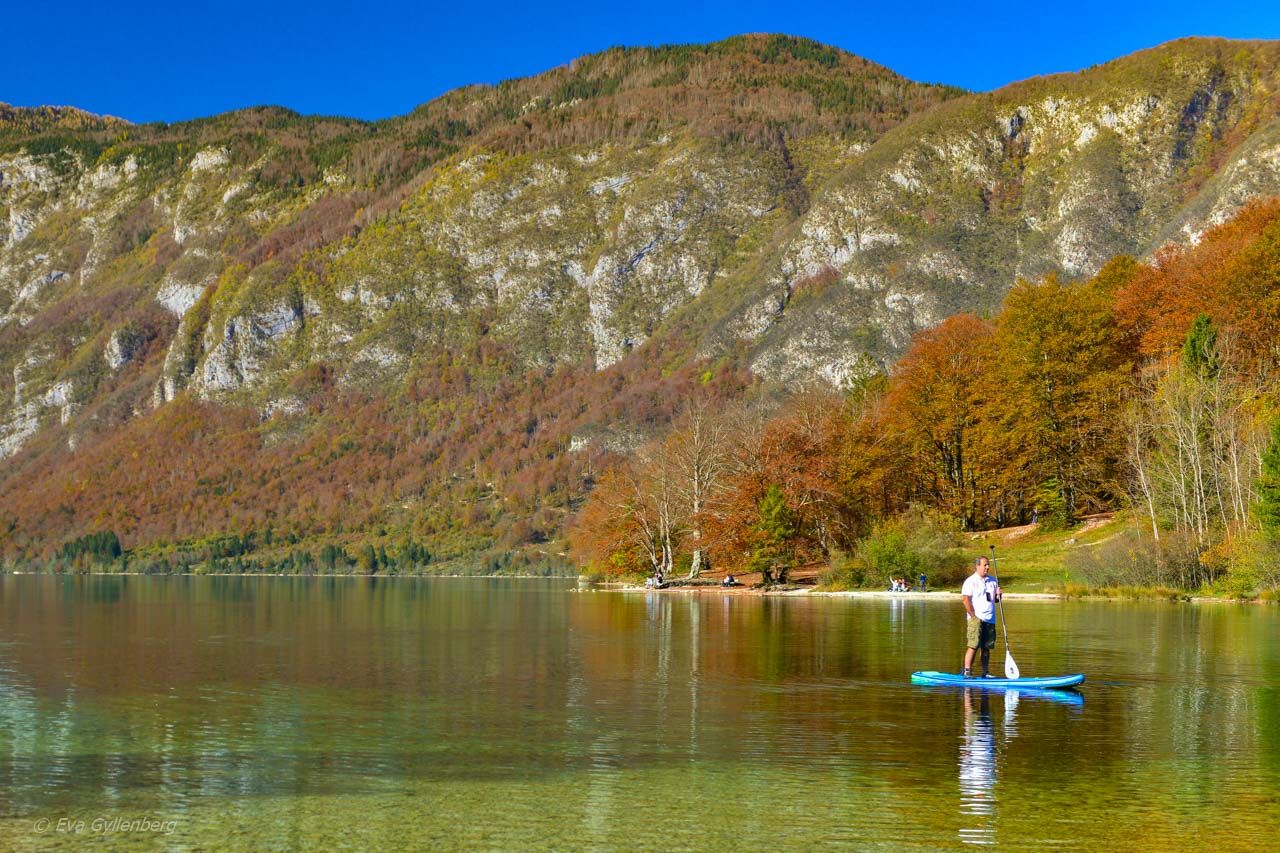 SUP på Lake Bohinj - Slovenien
