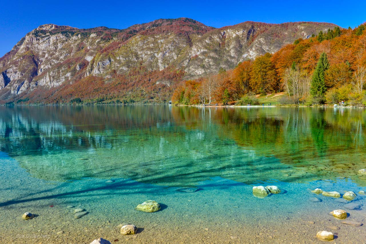 Lake Bohinj - Slovenien