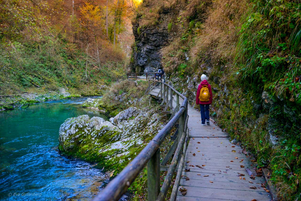 Dottern vandrar i Vintgar Gorge, Slovenien