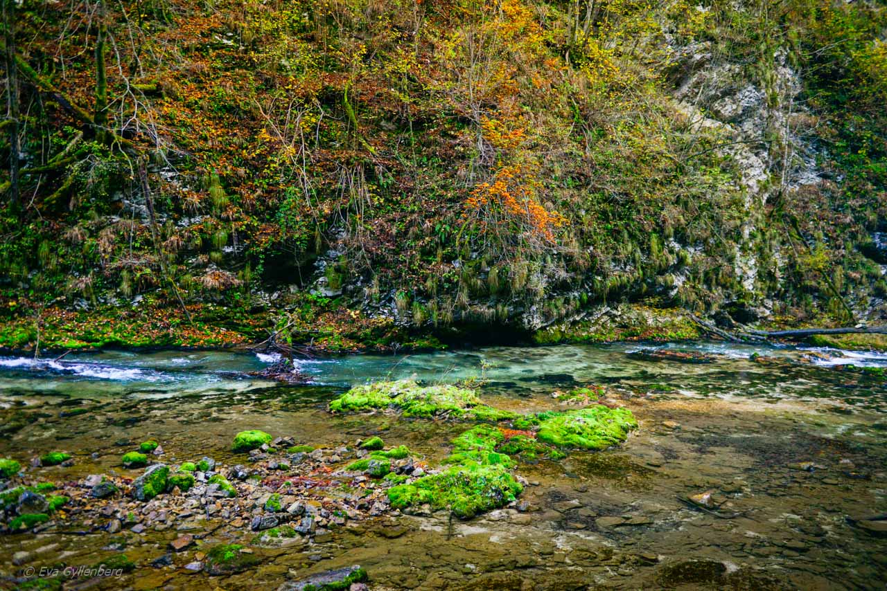 Green-Vintgar-Gorge